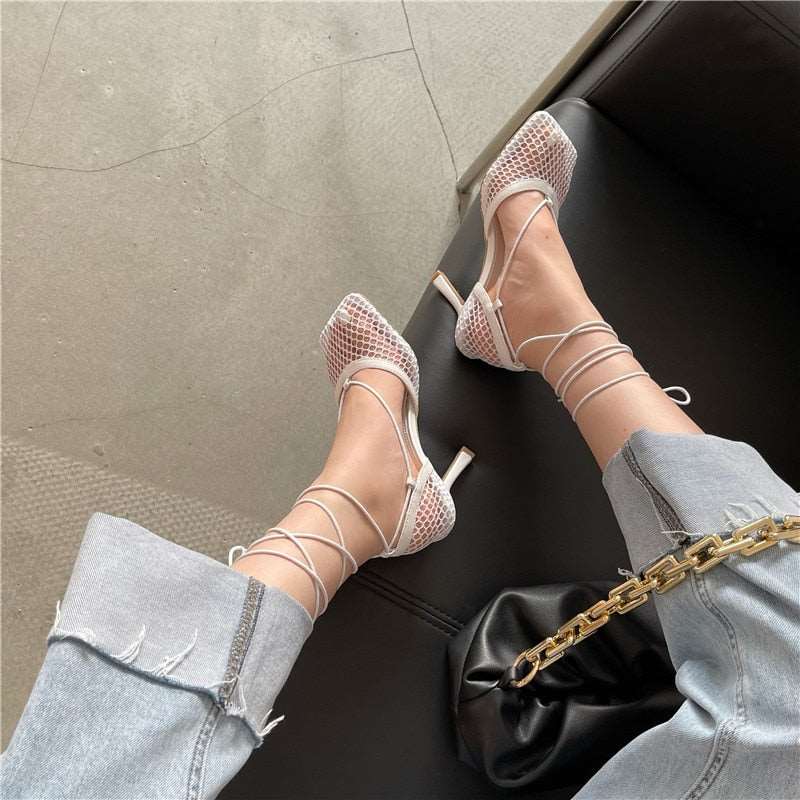 עקב רשת גלדיאטור- לוארה